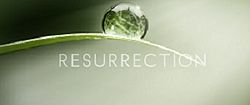 250px-Resurrection_2013_logo